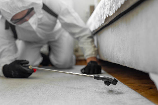 Professional Mosquito Control technician working in New Port Richey East, FL