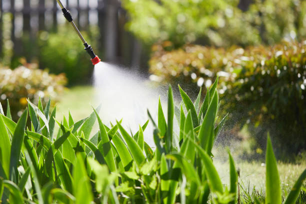 24/7 Emergency Mosquito Control experts in New Port Richey East, FL