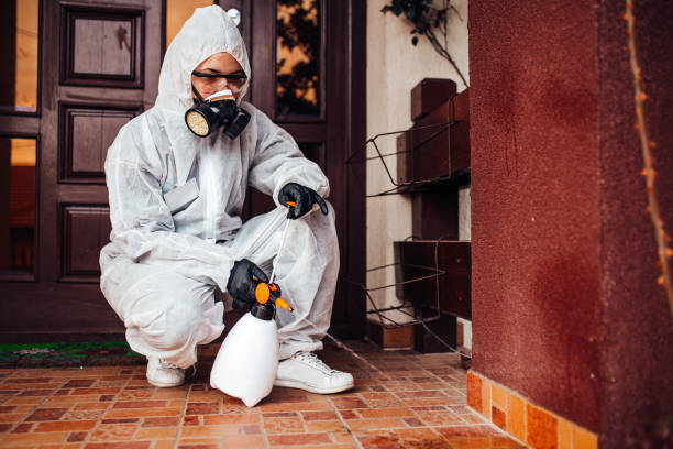 Reliable Mosquito Control contractor in New Port Richey East, FL by Nex Pest Control